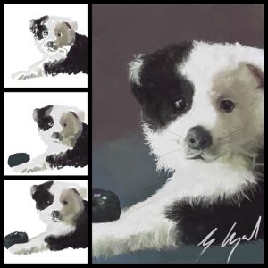 painted pet portraits - border collie